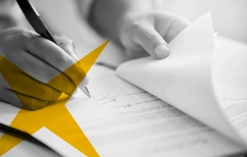 Insurance professional reviewing claims on digital interface